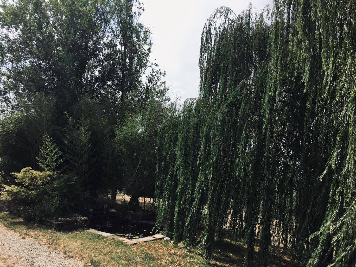 Il Biancospino Villa Casteggio Екстериор снимка