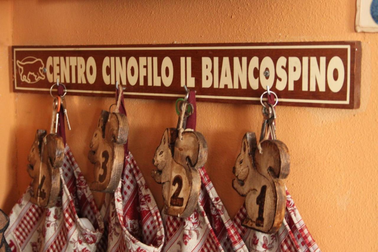 Il Biancospino Villa Casteggio Екстериор снимка